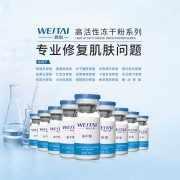 企業(yè)介紹